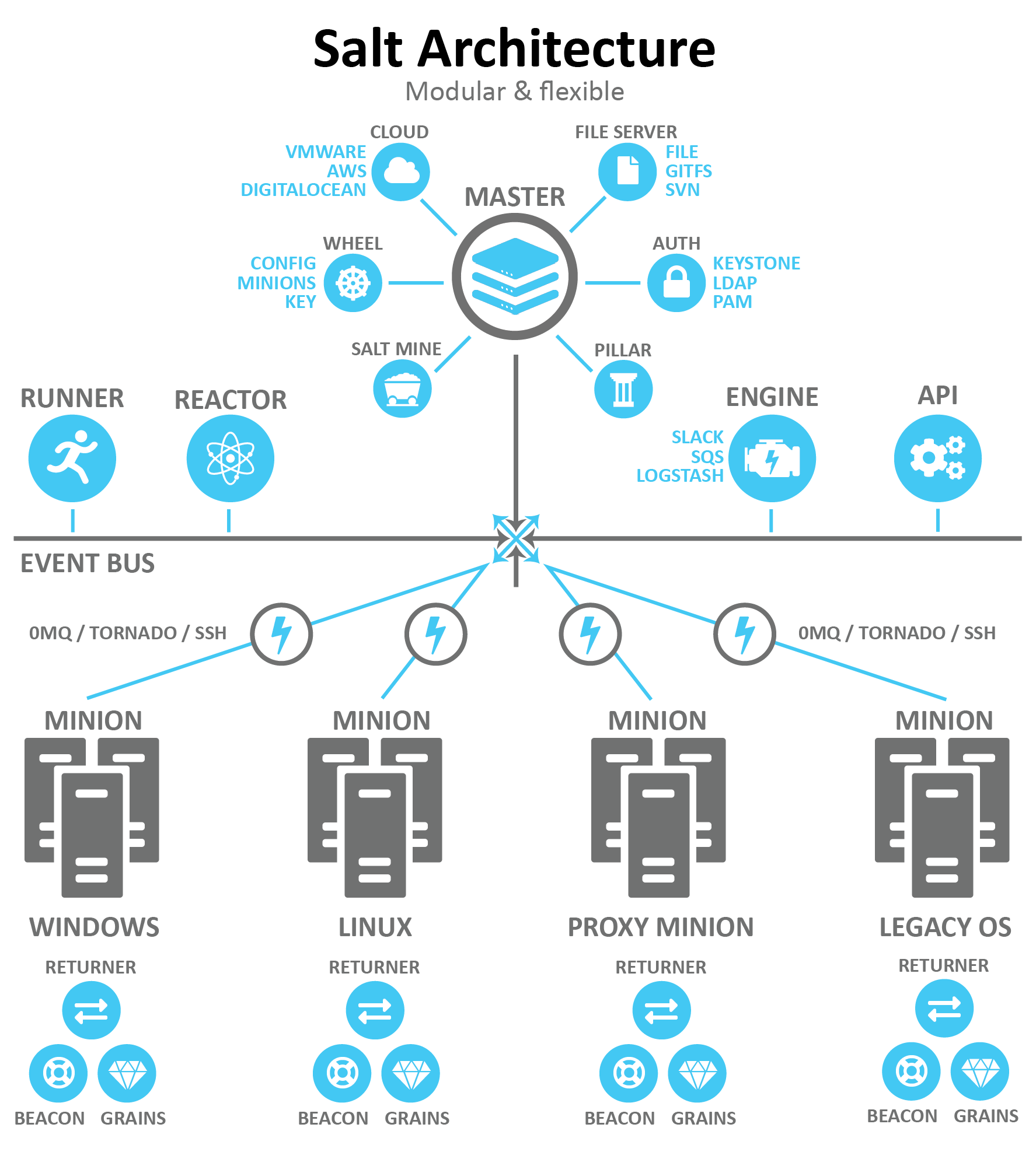 Salt architecture